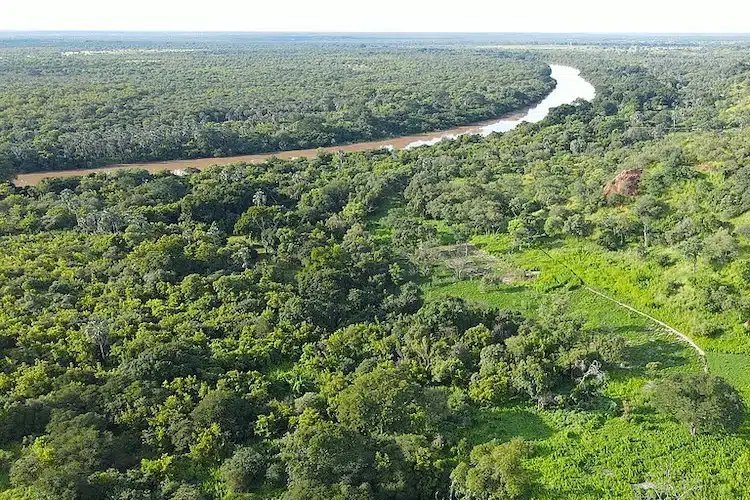 Savannah and forest along the Gambia River