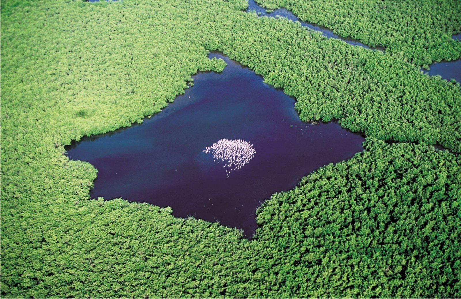Le delta du Saloum, à combiner avec les cercles